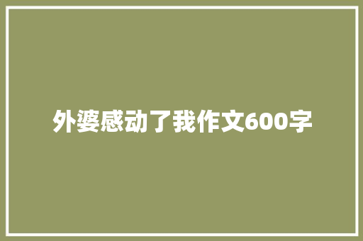 外婆感动了我作文600字