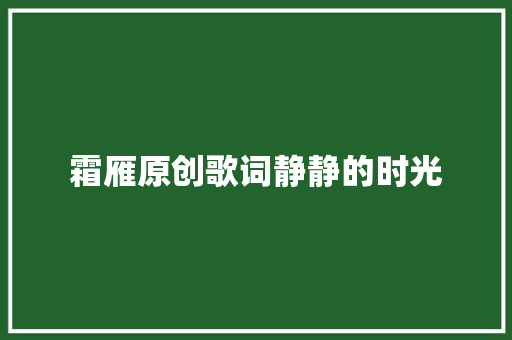 霜雁原创歌词静静的时光 休闲娱乐
