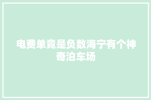 电费单竟是负数海宁有个神奇泊车场