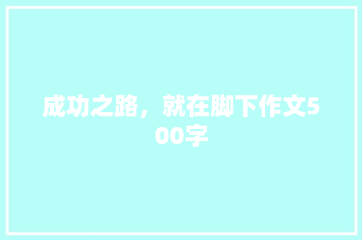 成功之路，就在脚下作文500字