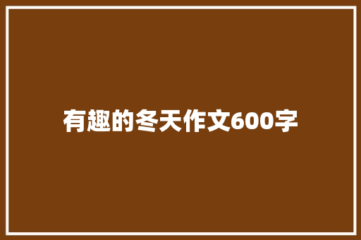 有趣的冬天作文600字