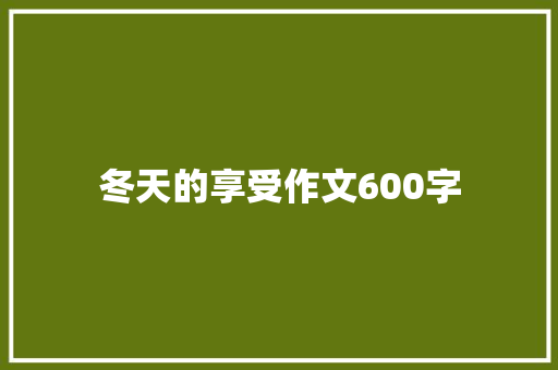 冬天的享受作文600字