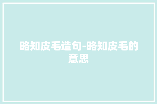 略知皮毛造句-略知皮毛的意思
