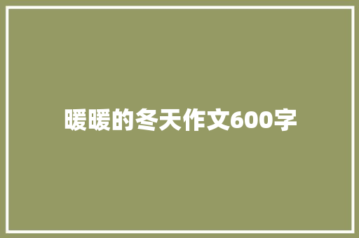 暖暖的冬天作文600字