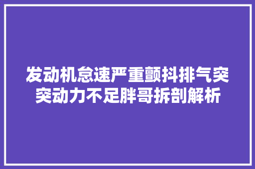 发动机怠速严重颤抖排气突突动力不足胖哥拆剖解析