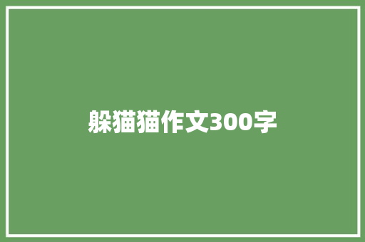 躲猫猫作文300字