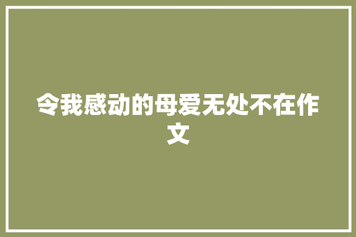 令我感动的母爱无处不在作文