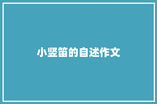 小竖笛的自述作文