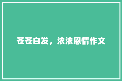 苍苍白发，浓浓恩情作文