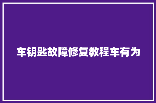车钥匙故障修复教程车有为