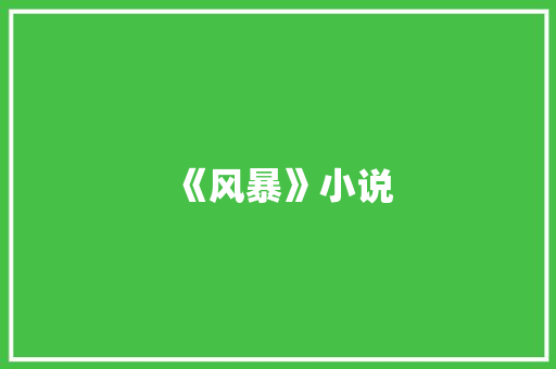 《风暴》小说