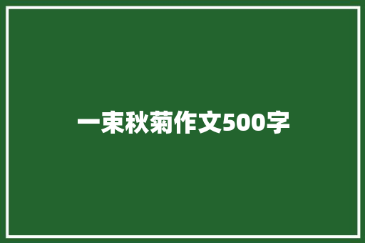 一束秋菊作文500字