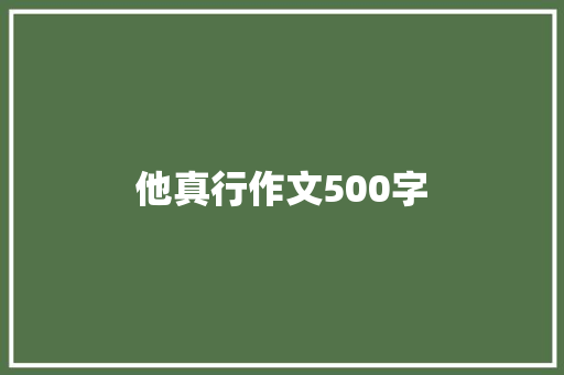 他真行作文500字