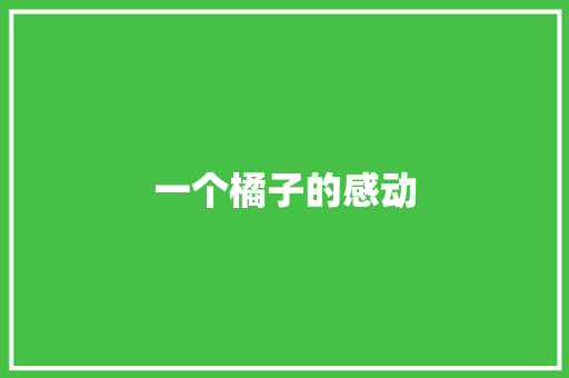 一个橘子的感动
