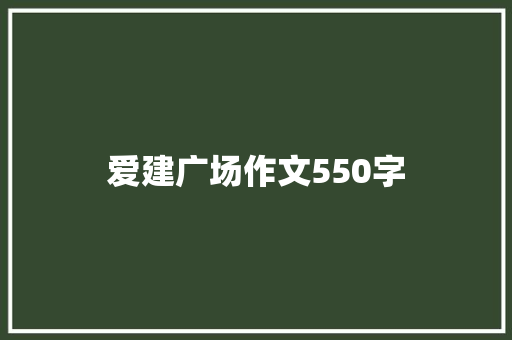 爱建广场作文550字