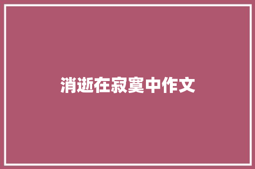 消逝在寂寞中作文