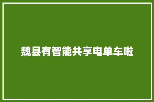 魏县有智能共享电单车啦