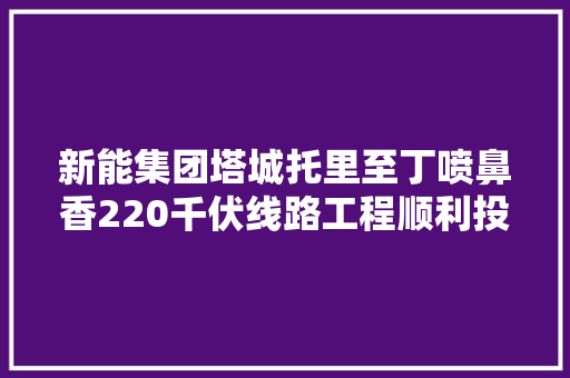 新能集团塔城托里至丁喷鼻香220千伏线路工程顺利投运