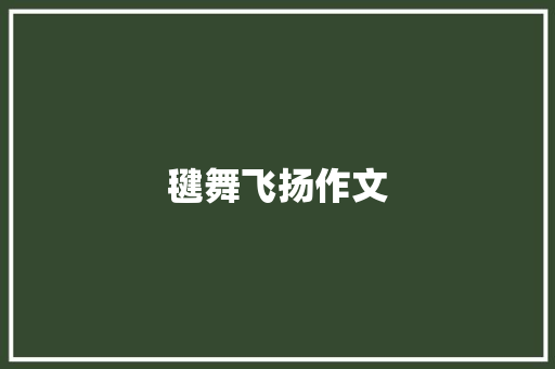 毽舞飞扬作文
