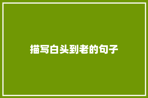 描写白头到老的句子 知识百科