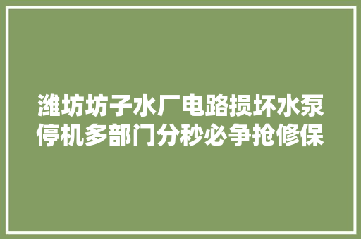 潍坊坊子水厂电路损坏水泵停机多部门分秒必争抢修保供水
