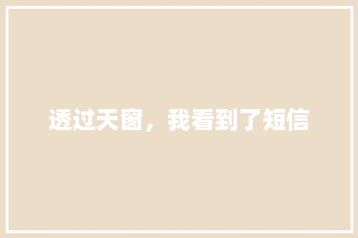 透过天窗，我看到了短信