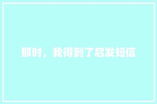 那时，我得到了启发短信