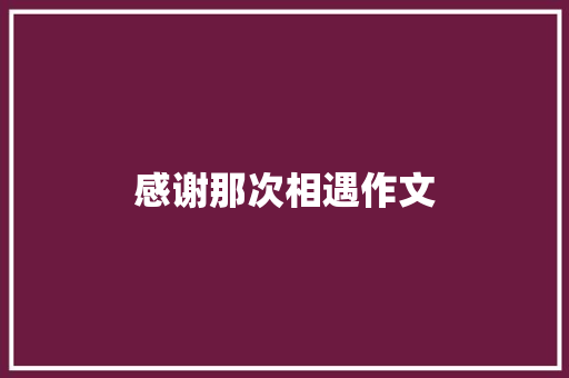 感谢那次相遇作文