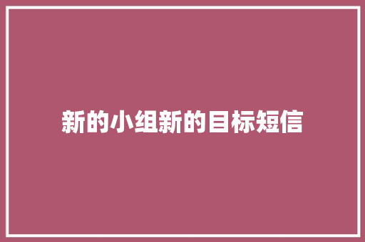 新的小组新的目标短信
