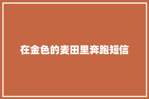 在金色的麦田里奔跑短信