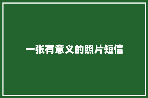 一张有意义的照片短信