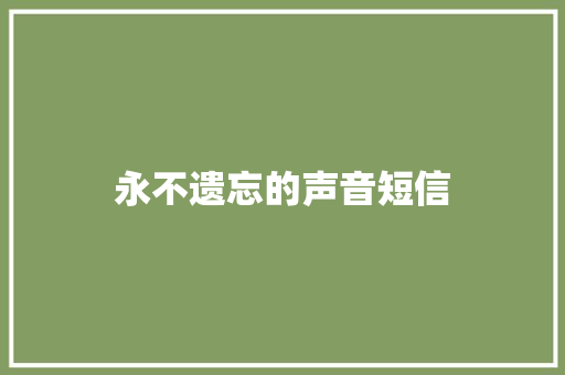 永不遗忘的声音短信