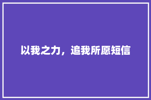 以我之力，追我所愿短信
