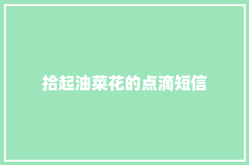 拾起油菜花的点滴短信