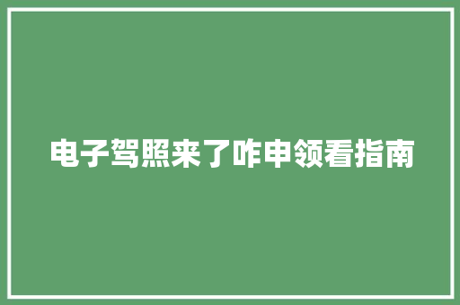 电子驾照来了咋申领看指南