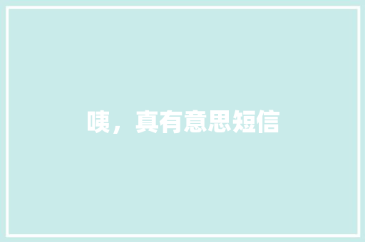 咦，真有意思短信