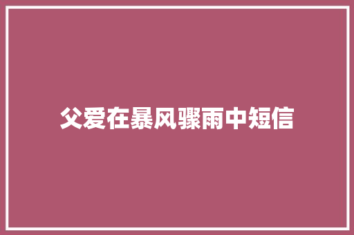 父爱在暴风骤雨中短信
