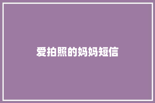 爱拍照的妈妈短信