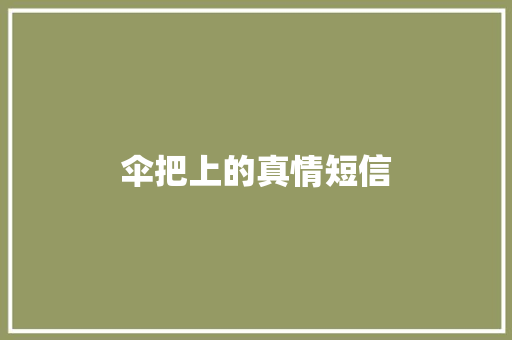 伞把上的真情短信