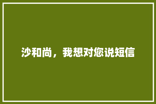 沙和尚，我想对您说短信