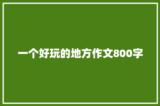 一个好玩的地方作文800字