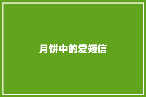 月饼中的爱短信