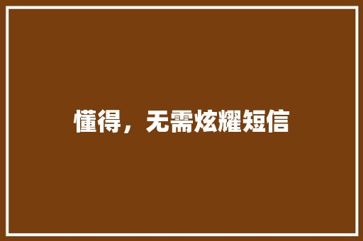 懂得，无需炫耀短信