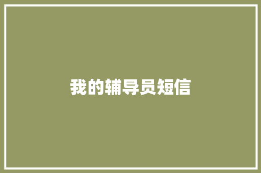 我的辅导员短信