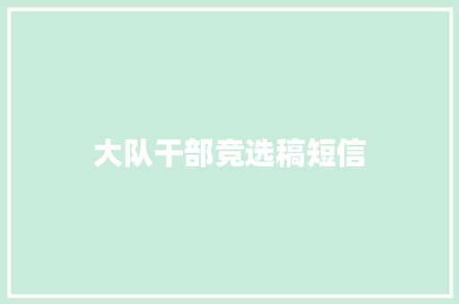 大队干部竞选稿短信