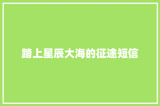踏上星辰大海的征途短信