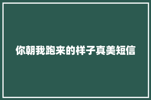 你朝我跑来的样子真美短信