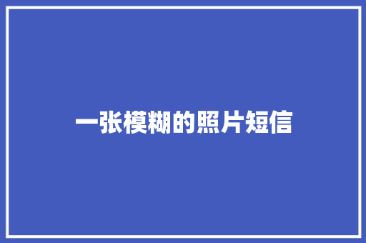 一张模糊的照片短信