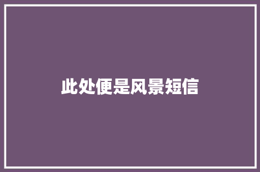 此处便是风景短信