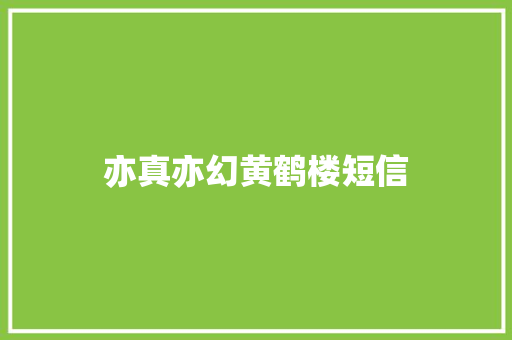 亦真亦幻黄鹤楼短信